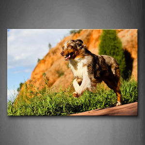 Dog Jump Over Road Grass Hill Wall Art Painting The Picture Print On Canvas Animal Pictures For Home Decor Decoration Gift 