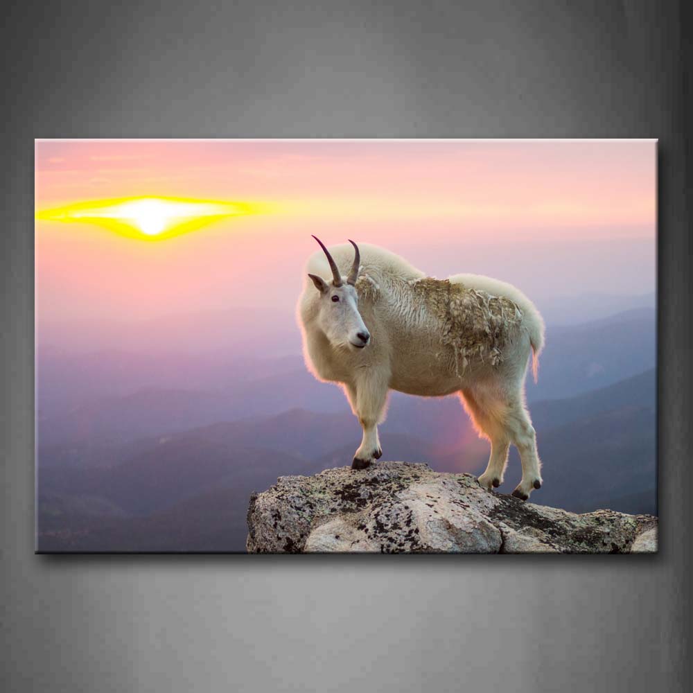 White Goat Stand On Peak At Dusk Wall Art Painting Pictures Print On Canvas Animal The Picture For Home Modern Decoration 