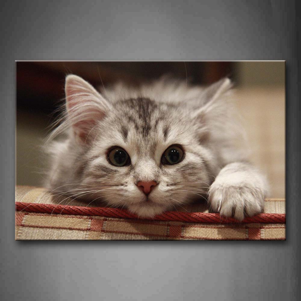 Cute Cat Bend Over On Sofa Wall Art Painting Pictures Print On Canvas Animal The Picture For Home Modern Decoration 