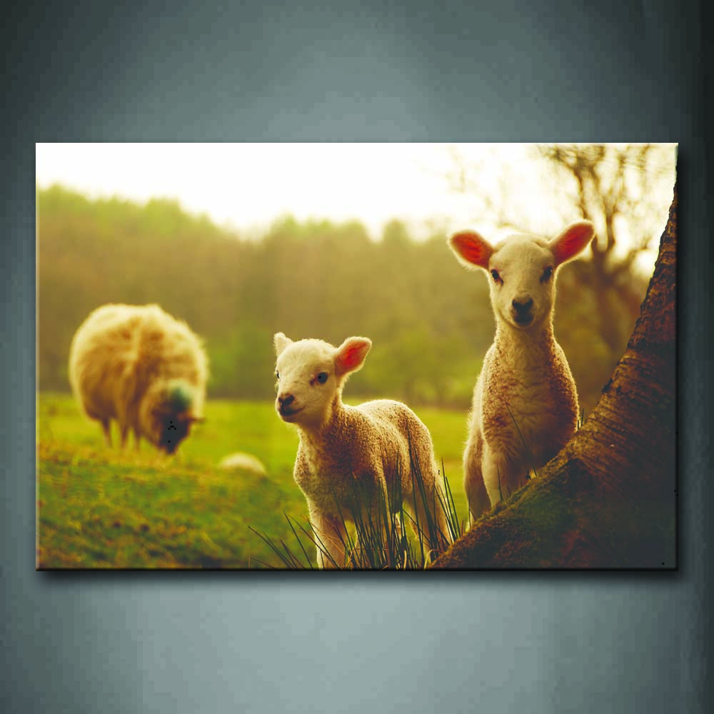 Two Young Sheeps Stand Under Tree And A Big Sheep Eating Grass Wall Art Painting The Picture Print On Canvas Animal Pictures For Home Decor Decoration Gift 