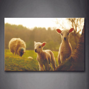 Two Young Sheeps Stand Under Tree And A Big Sheep Eating Grass Wall Art Painting The Picture Print On Canvas Animal Pictures For Home Decor Decoration Gift 