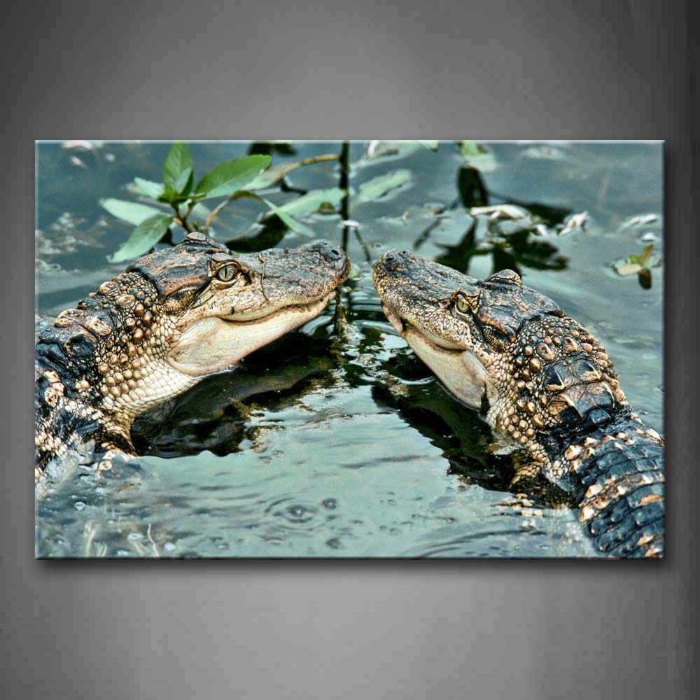 Two Crocodiles Swimming On Water Wall Art Painting The Picture Print On Canvas Animal Pictures For Home Decor Decoration Gift 