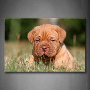 Yellow Puppy Sit In Grass Wall Art Painting Pictures Print On Canvas Animal The Picture For Home Modern Decoration 