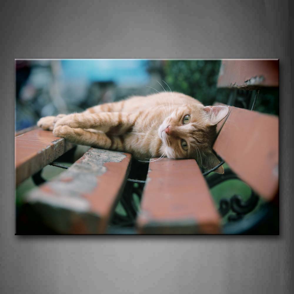 Yellow Cat Lie On Wood Chair Wall Art Painting The Picture Print On Canvas Animal Pictures For Home Decor Decoration Gift 