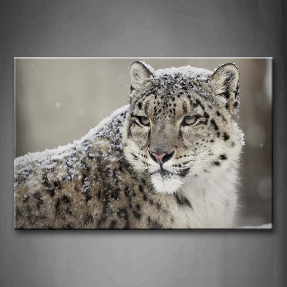 Snow Leopard Look Back Snow Wall Art Painting The Picture Print On Canvas Animal Pictures For Home Decor Decoration Gift 