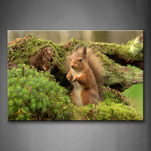 Squirrel In Grass Staring Wall Art Painting Pictures Print On Canvas Animal The Picture For Home Modern Decoration 