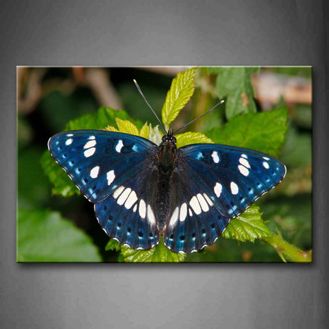 Blue Butterfly Stop On Green Leaf Wall Art Painting The Picture Print On Canvas Animal Pictures For Home Decor Decoration Gift 