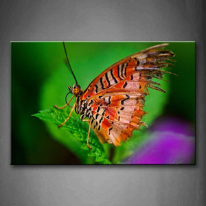 Yellow Butterfly Stop On Green Leaf Wall Art Painting The Picture Print On Canvas Animal Pictures For Home Decor Decoration Gift 