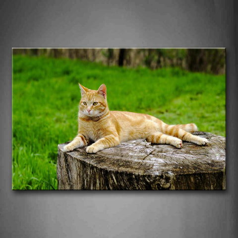 Yellow Cat Stand On Wood Lawn Wall Art Painting The Picture Print On Canvas Animal Pictures For Home Decor Decoration Gift 