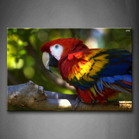 Colorful Macaw Stop On Branch Wall Art Painting Pictures Print On Canvas Animal The Picture For Home Modern Decoration 