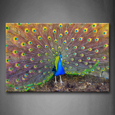 Beautiful Peacock And Open Wing Wall Art Painting Pictures Print On Canvas Animal The Picture For Home Modern Decoration 