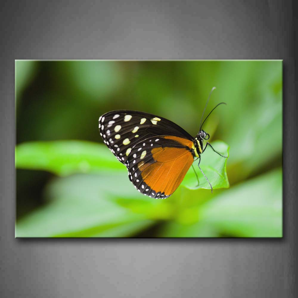 Black And Yellow Betterfly Stop On Leaf Wall Art Painting The Picture Print On Canvas Animal Pictures For Home Decor Decoration Gift 