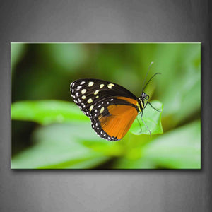 Black And Yellow Betterfly Stop On Leaf Wall Art Painting The Picture Print On Canvas Animal Pictures For Home Decor Decoration Gift 