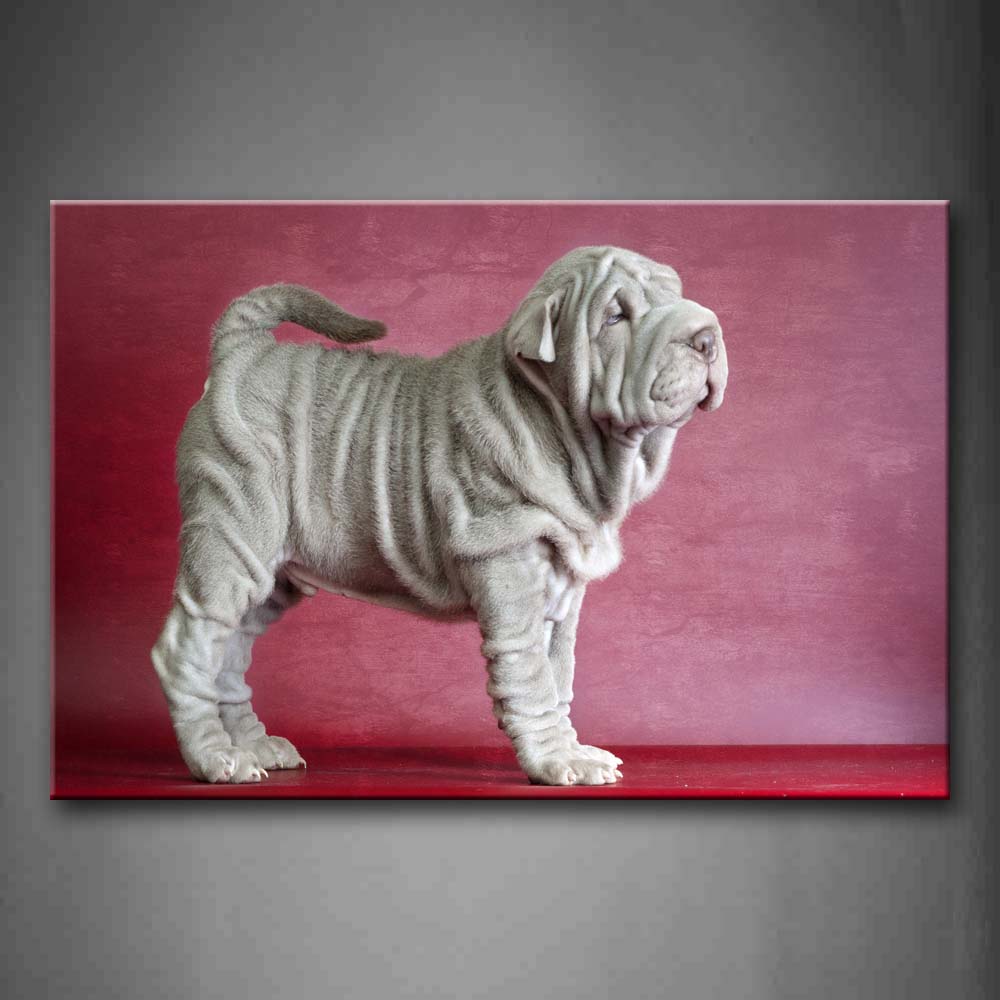 Red White Shar Pei In Pink Background Wall Art Painting Pictures Print On Canvas Animal The Picture For Home Modern Decoration 