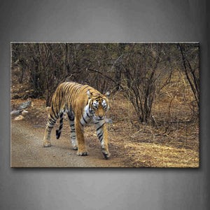 Tiger Walk On Mud Path Tree Wall Art Painting Pictures Print On Canvas Animal The Picture For Home Modern Decoration 