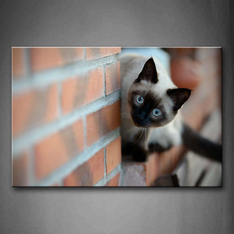 White And Black Cat Sit On Sill Wall Art Painting The Picture Print On Canvas Animal Pictures For Home Decor Decoration Gift 