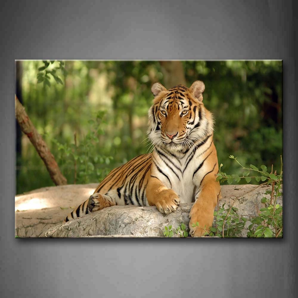 Tiger Sit On Rock In Forest Wall Art Painting Pictures Print On Canvas Animal The Picture For Home Modern Decoration 