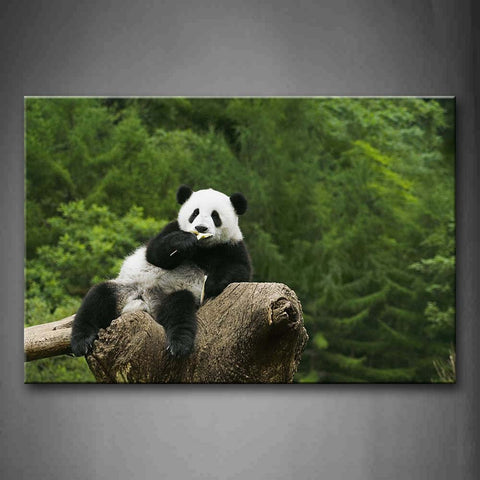 Panda Sitting Dead Wood Eating Wall Art Painting Pictures Print On Canvas Animal The Picture For Home Modern Decoration 