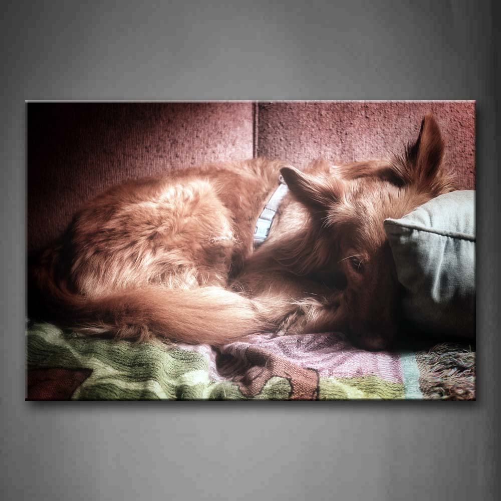 Brown Dog Sleep On Blanket Wall Art Painting The Picture Print On Canvas Animal Pictures For Home Decor Decoration Gift 