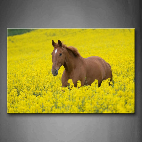 Yellow Horse Walk Through Yellow Flower Wall Art Painting Pictures Print On Canvas Animal The Picture For Home Modern Decoration 