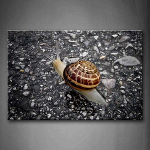 Snail Crawl On Land Wall Art Painting The Picture Print On Canvas Animal Pictures For Home Decor Decoration Gift 