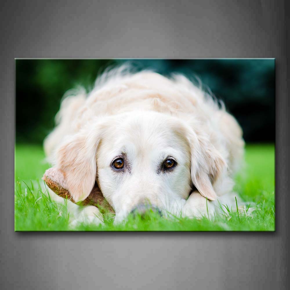 White Dog Lying On Front Grass Wall Art Painting The Picture Print On Canvas Animal Pictures For Home Decor Decoration Gift 