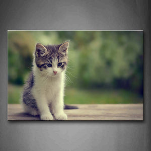 Cat Sit On Wood Wall Art Painting The Picture Print On Canvas Animal Pictures For Home Decor Decoration Gift 