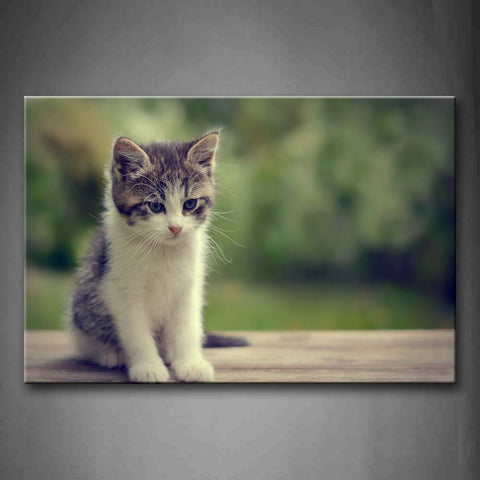 Cat Sit On Wood Wall Art Painting The Picture Print On Canvas Animal Pictures For Home Decor Decoration Gift 