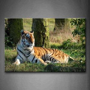 Tiger Lieon Grass Under A Tree Wall Art Painting Pictures Print On Canvas Animal The Picture For Home Modern Decoration 