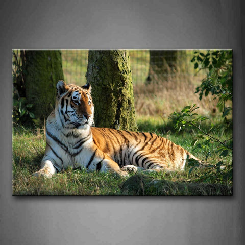 Tiger Lieon Grass Under A Tree Wall Art Painting Pictures Print On Canvas Animal The Picture For Home Modern Decoration 