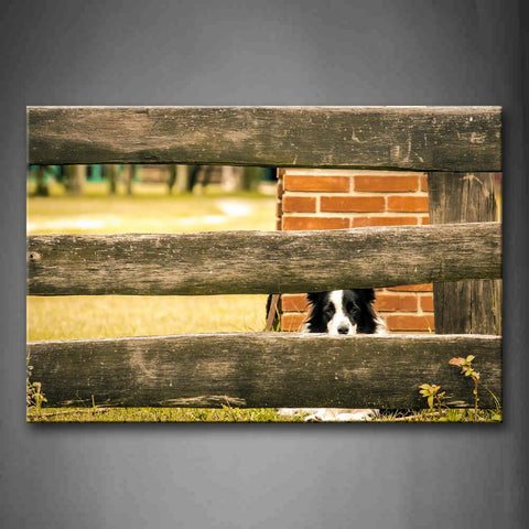 Border Collie Sit Behind Wood Fence Wall Wall Art Painting Pictures Print On Canvas Animal The Picture For Home Modern Decoration 