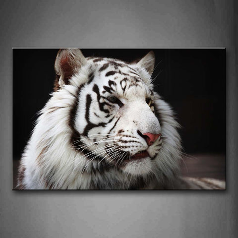 White Tiger  Black Background Wall Art Painting Pictures Print On Canvas Animal The Picture For Home Modern Decoration 