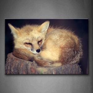 A Brown Fox Sleep On Wood Wall Art Painting Pictures Print On Canvas Animal The Picture For Home Modern Decoration 