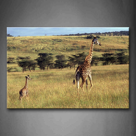 Mother Giraffe And Cub Walk In Grass Trees Wall Art Painting Pictures Print On Canvas Animal The Picture For Home Modern Decoration 