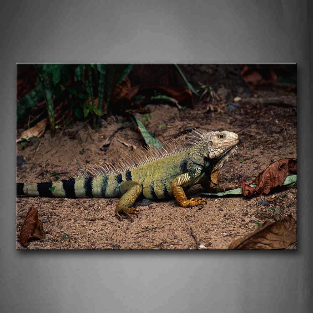 Iguana Staring On Mud Land Dry Leafs Wall Art Painting The Picture Print On Canvas Animal Pictures For Home Decor Decoration Gift 