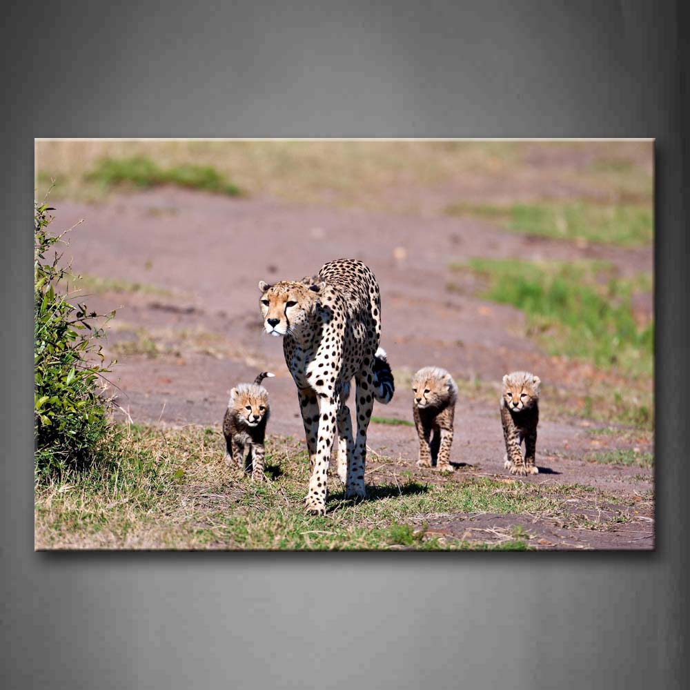 Mother Cheetah And Cubs Walk On Land Grass Wall Art Painting Pictures Print On Canvas Animal The Picture For Home Modern Decoration 