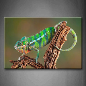 Colorful Chameleon Crawl On Dry Branch Wall Art Painting Pictures Print On Canvas Animal The Picture For Home Modern Decoration 