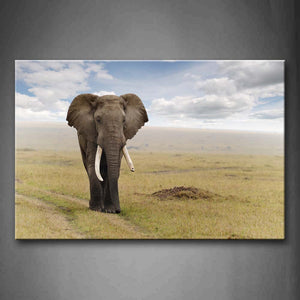 Elephant Walk On Grass Path Cloud Wall Art Painting The Picture Print On Canvas Animal Pictures For Home Decor Decoration Gift 