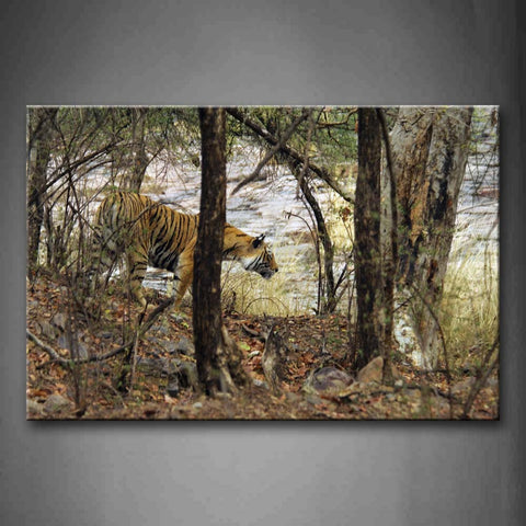 Tiger Walk In Forest  Wall Art Painting Pictures Print On Canvas Animal The Picture For Home Modern Decoration 