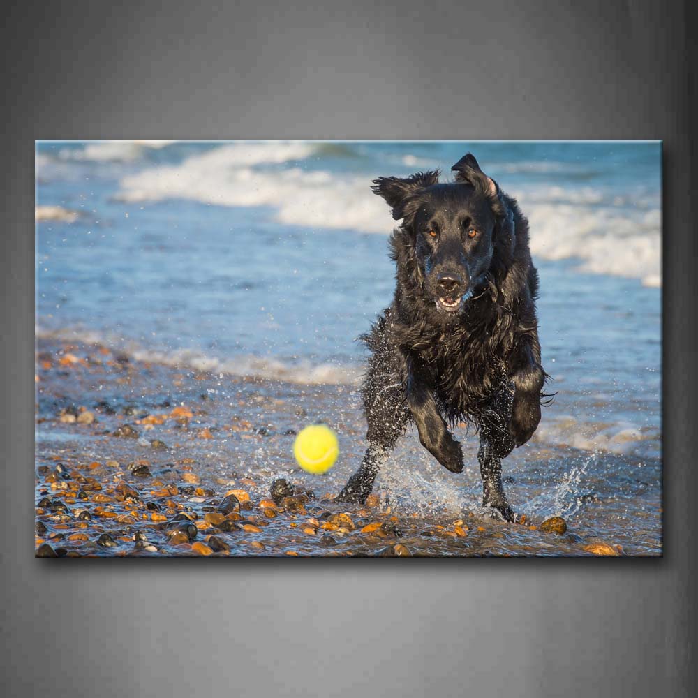 Black Dog Play With A Ball On Beach Wall Art Painting Pictures Print On Canvas Animal The Picture For Home Modern Decoration 