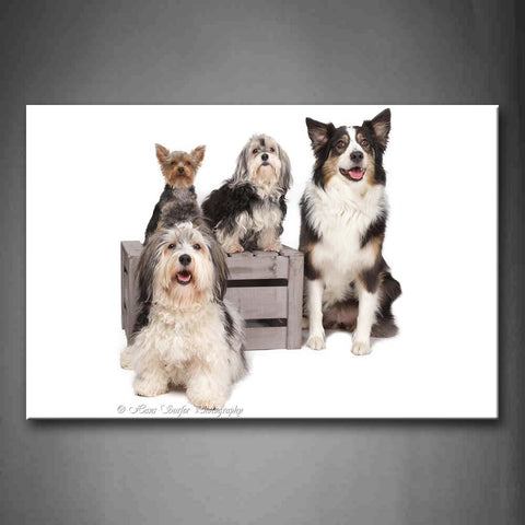 Different Dogs Sit In White Background Box Wall Art Painting The Picture Print On Canvas Animal Pictures For Home Decor Decoration Gift 