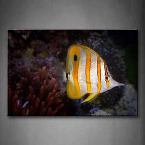 Beautiful Fish Swinmming In Bottom Of Sea Wall Art Painting Pictures Print On Canvas Animal The Picture For Home Modern Decoration 