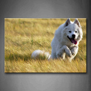 White Dog Sit On Grassland Wall Art Painting Pictures Print On Canvas Animal The Picture For Home Modern Decoration 