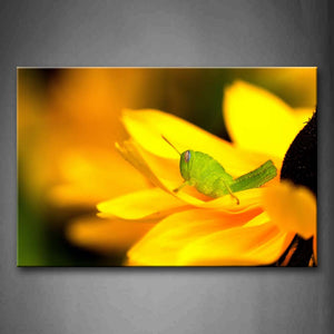 Grasshopper Crawl On Yellow Flower Wall Art Painting The Picture Print On Canvas Animal Pictures For Home Decor Decoration Gift 