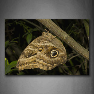 Brown Butterfly Crawl On Branch Wall Art Painting Pictures Print On Canvas Animal The Picture For Home Modern Decoration 