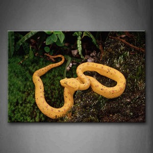 Yellow Snake Crawl On Grass Plant Wall Art Painting The Picture Print On Canvas Animal Pictures For Home Decor Decoration Gift 