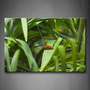 Butterfly Stop On Grass Wall Art Painting The Picture Print On Canvas Animal Pictures For Home Decor Decoration Gift 