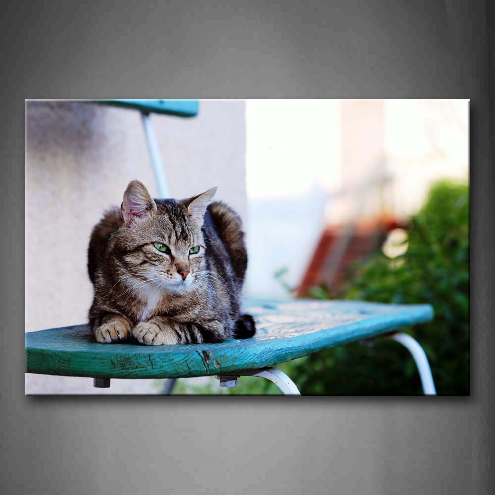 Cat Bend Over A Blue Chair Wall Art Painting Pictures Print On Canvas Animal The Picture For Home Modern Decoration 