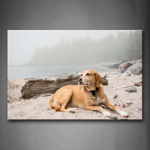 Yellow Dog Bend Over Sand Land Near Lake Wall Art Painting The Picture Print On Canvas Animal Pictures For Home Decor Decoration Gift 