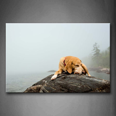 Yellow Dog Rest On Rock Near A Lake Wall Art Painting Pictures Print On Canvas Animal The Picture For Home Modern Decoration 